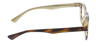 Curtain Call Reading Glasses Tortoise Horn