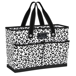 The BJ Bag | Cat Skills