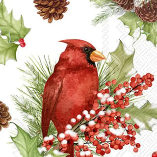 Cardinals In Holly Paper Guest Towels