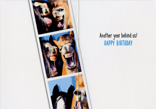 "Horses In Photo Booth" Birthday Card