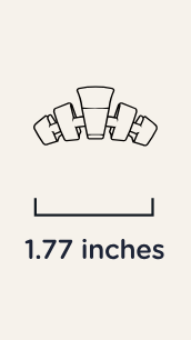 Classic Tortoise Tiny Hair Clip
