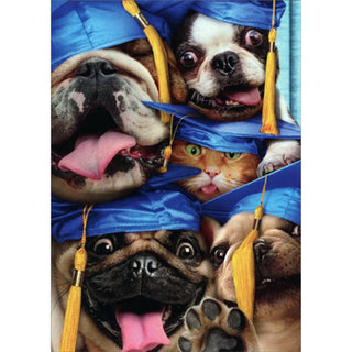 Dog & Cat Grads In Photo Booth | Graduation Greeting Card