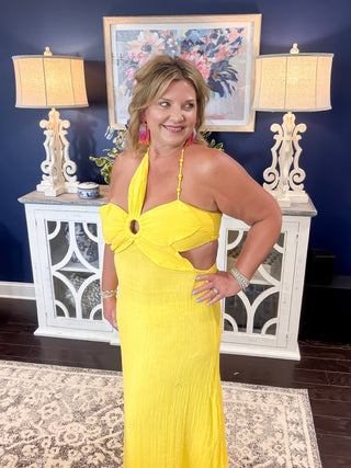 Daisy Dreams Maxi Dress