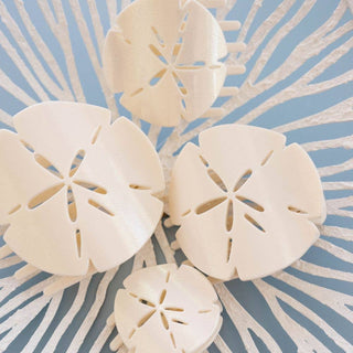 Sand Dollar shaped flat hair clips.