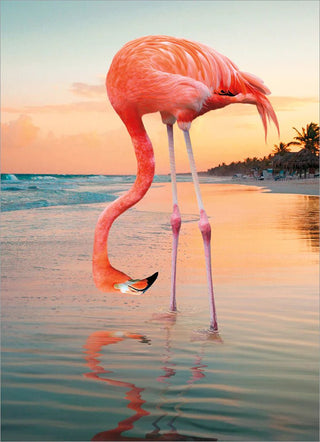 Flamingo Reflection | Retirement Card