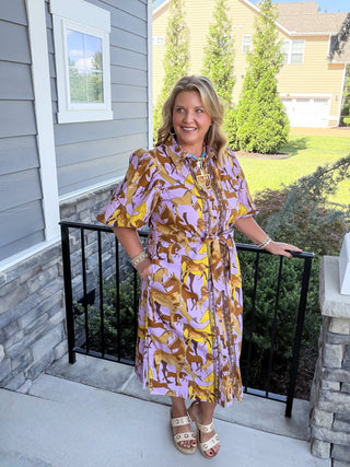 Free Rein Shirt Dress