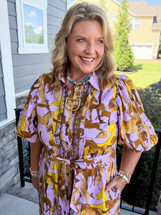 Free Rein Shirt Dress