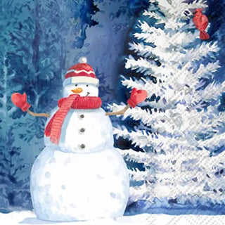 Frosted Snowman Paper Guest Towels