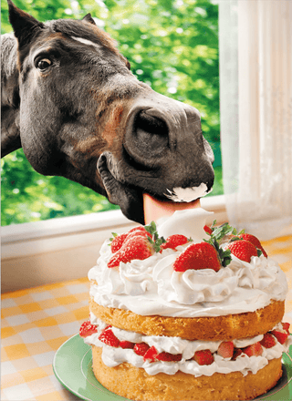 Horse In Window Eating Cake | Friendship Card