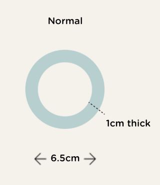 Millennial Pink Large Hair Ties