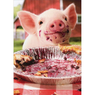Party Pig Pie Plate | Birthday card