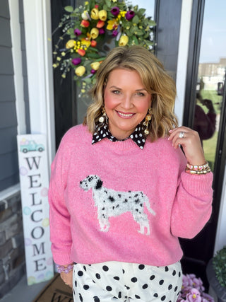 pink dalmatian sweater 