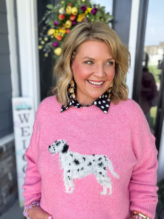 Pretty Pup Fuzzy Sweater