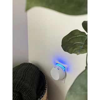 Pura Sweet Grace Lovers Kit