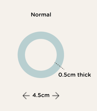 Sage It Ain't So Small Hair Ties