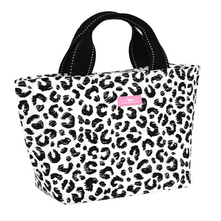 Scout | Cat Skills Nooner