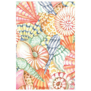 Sea Shells Sachet
