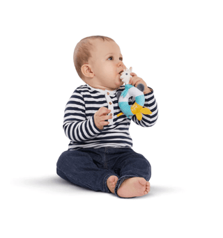 Sophie la girafe Shake & Chew Rattle