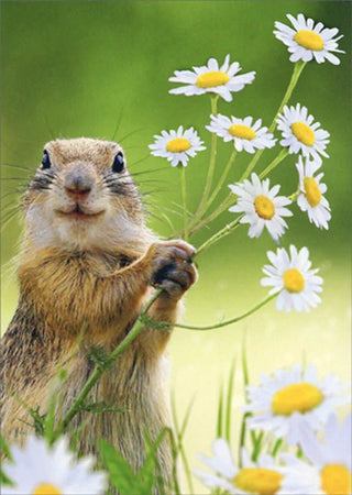Squirrel Holding Flower | Thank You Greeting Card