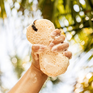 Sweet Grace Body Wash Sponge