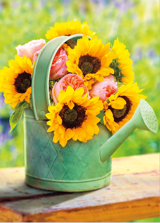 Get well greeting card.