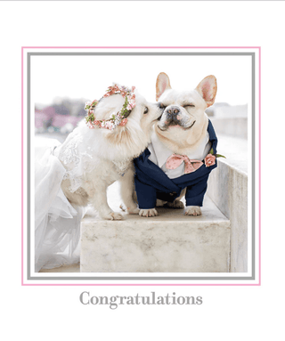 Wedding Dogs | Wedding Greeting Card