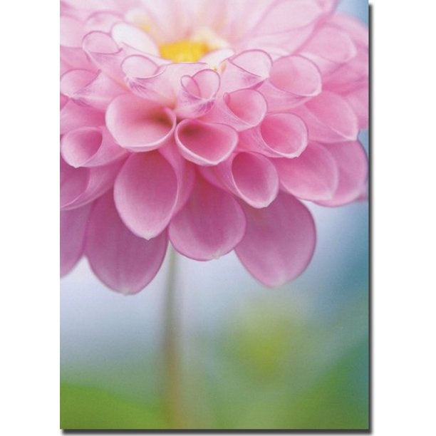 On My Mind And In My Heart Card
