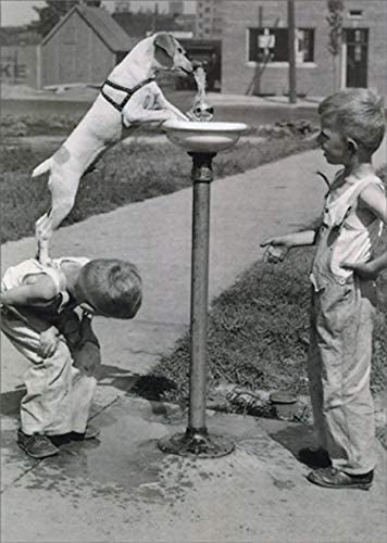 Kids With Dog Card