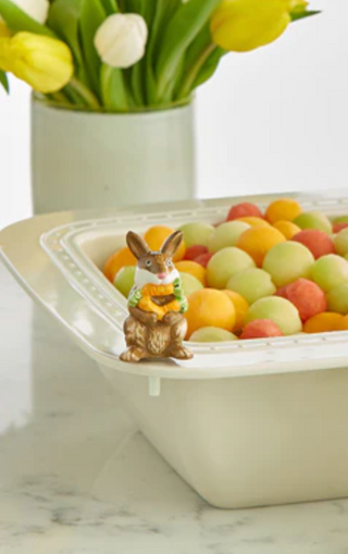 Funny Bunny Mini