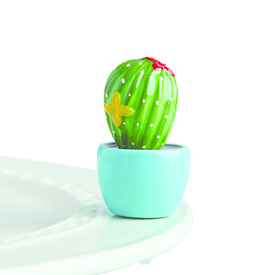 Can't Touch This, Cactus Mini
