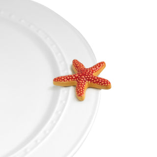 Sea Star, Starfish Mini