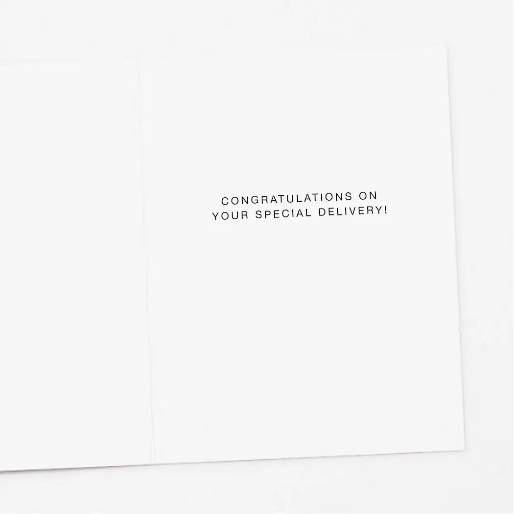 Stork Chick New Baby Card