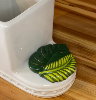 Best Ferns Forever, Fern Mini